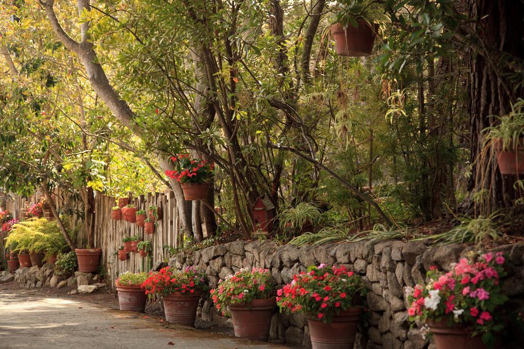Old Monterey Inn Extérieur photo