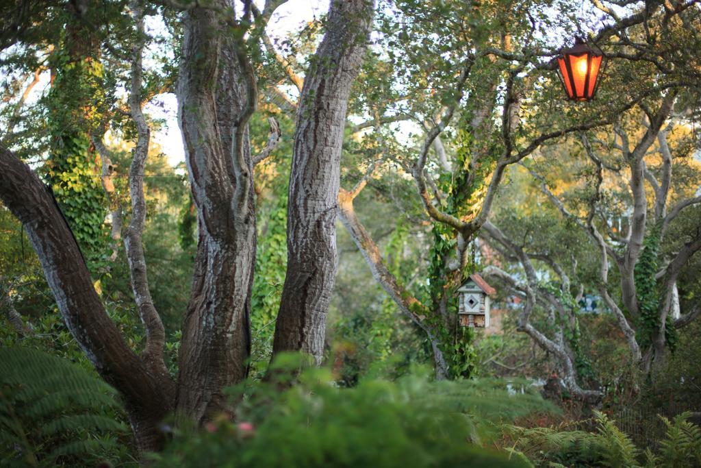 Old Monterey Inn Extérieur photo